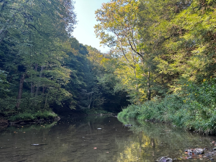Herp habitat